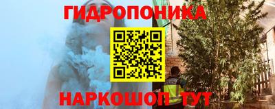 гашик Гагарин
