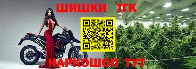 дживик Гай