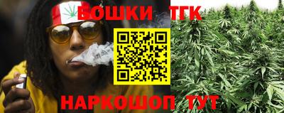 дживик Гай