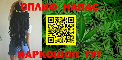 дживик Гай